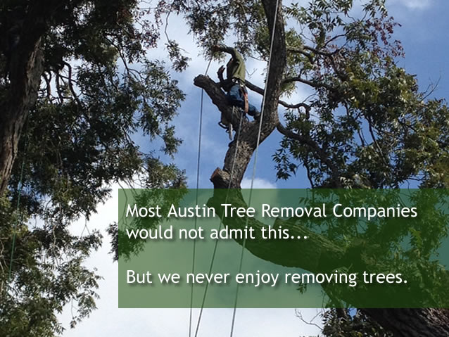 austin-tree-removal-service