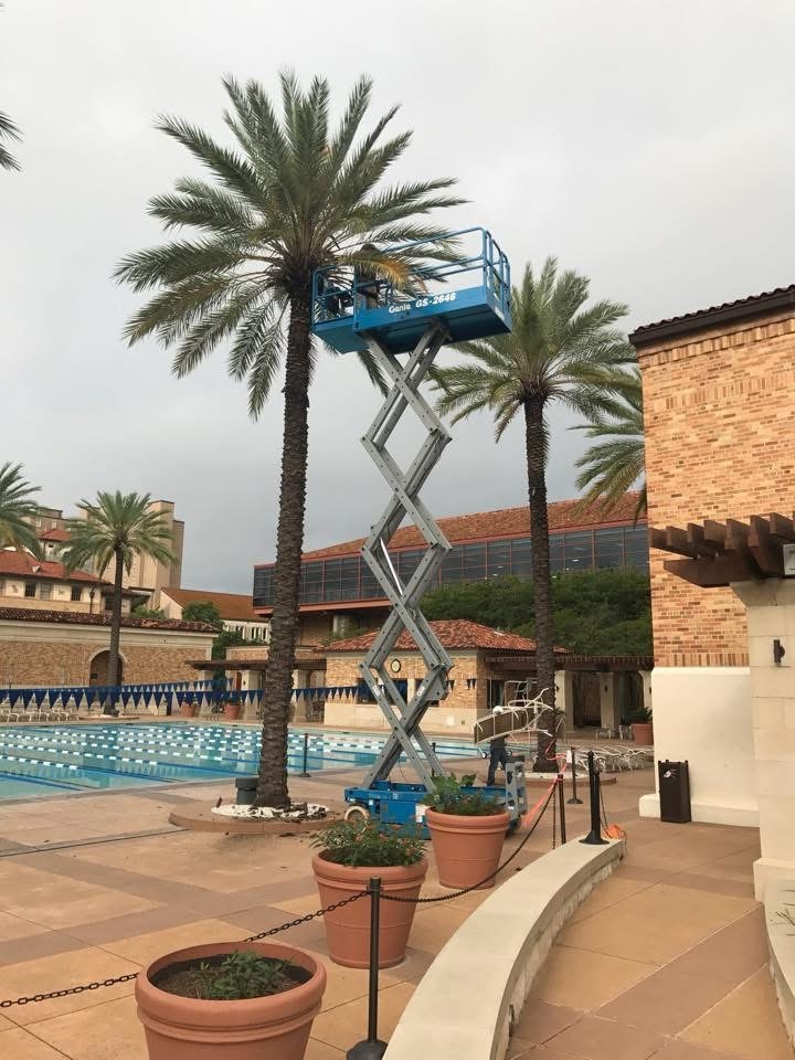 Aerial lift used for large tree work